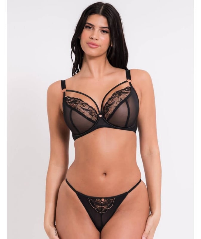 Scantilly Fascinate Thong - Black Knickers 