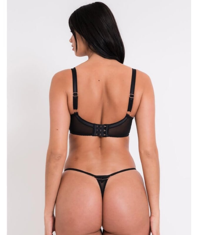 Scantilly Fascinate Thong - Black Knickers 