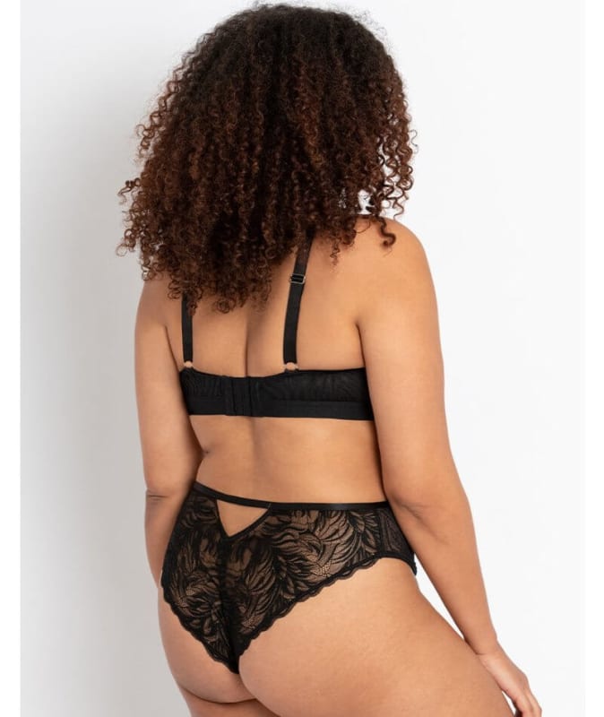 Curvy Kate Lace Daze Bralette - Black Bras 