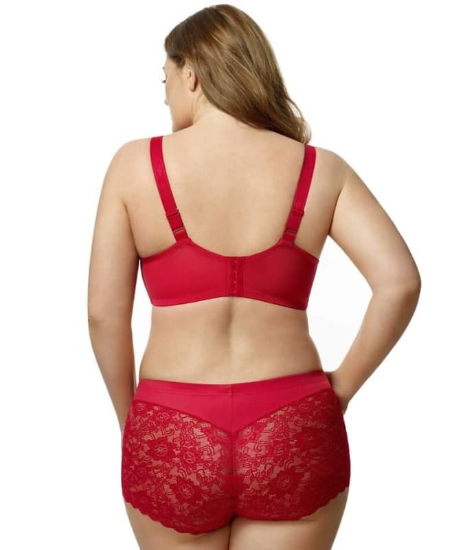 Elila Cheeky Stretch Lace Brief - Red Knickers 