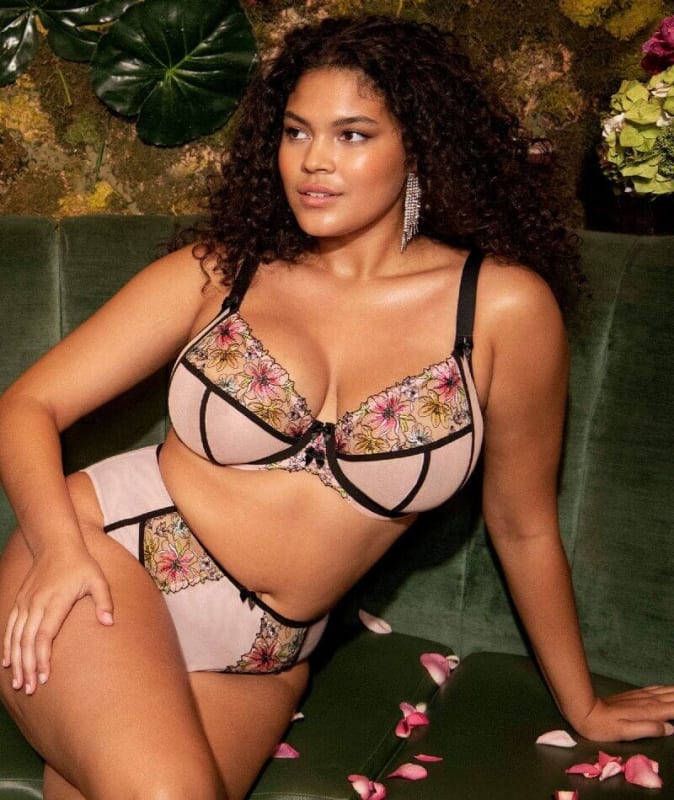 Elomi Carrie Underwired Plunge Bra - Ballet Pink Bras