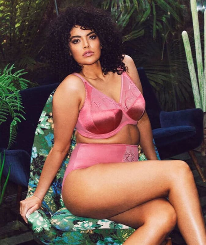 Elomi Cate Full Brief - Desert Rose Knickers 