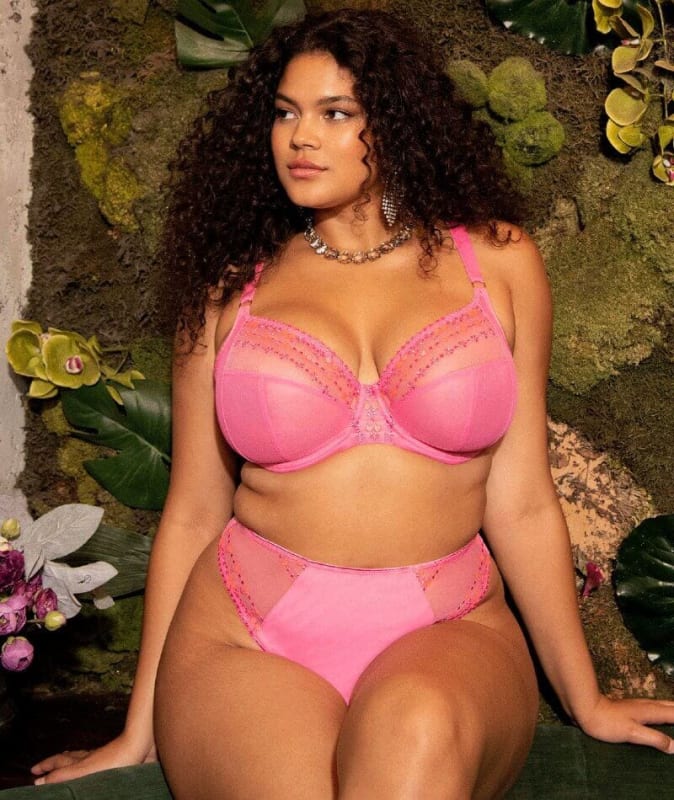 Elomi Matilda Thong - Wild Cherry Knickers 