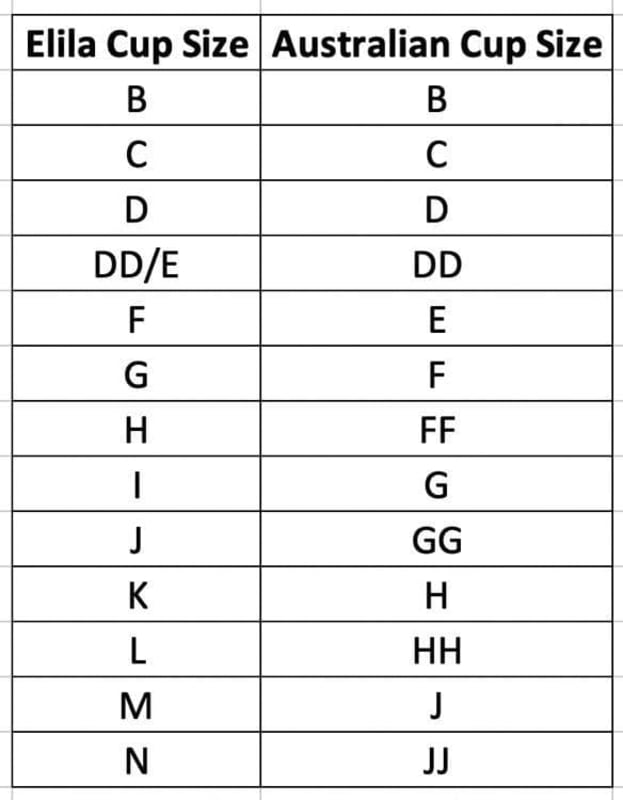 Elila Embroidered Lace Non-Underwired Bra - Nude Bras 