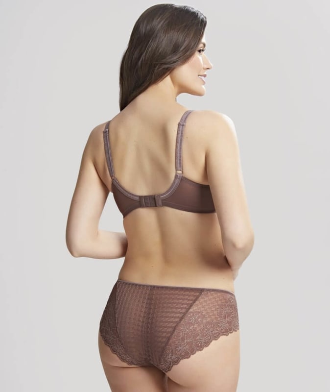 Panache Envy Brief - Chestnut Knickers 