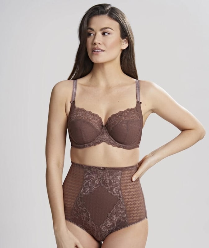 Panache Envy Shaping Brief - Chestnut Knickers 