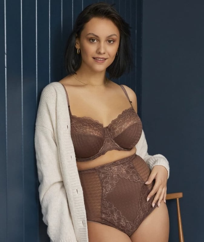 Panache Envy Shaping Brief - Chestnut Knickers 