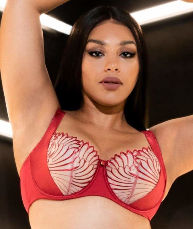 Scantilly Fallen Angel Balcony Bra - Garnet Red Bras 