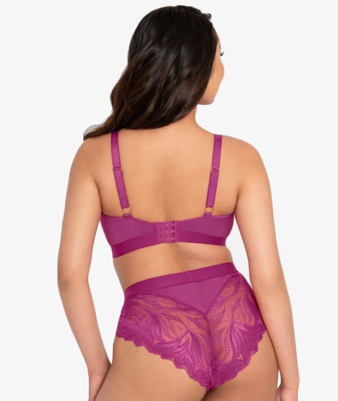 Scantilly Indulgence High Waist Brief - Orchid/Latte Knickers 