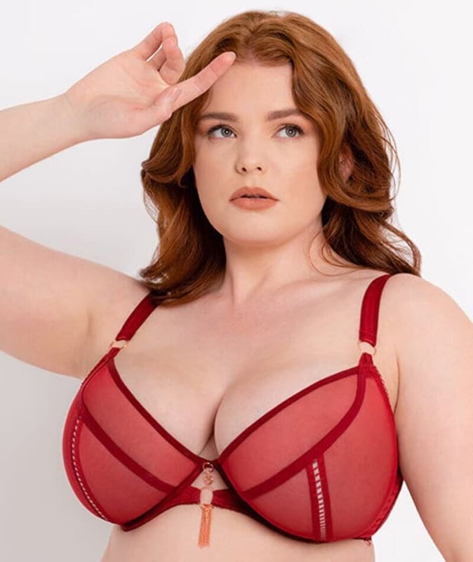 Scantilly Unchained Plunge Bra - Deep Red Bras 