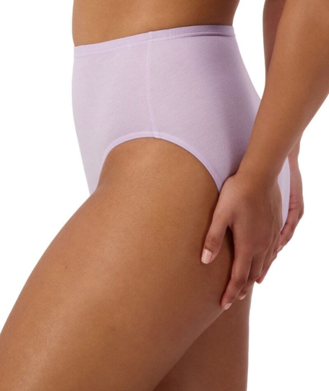 Sloggi Hikini 2 Pack Brief - Blueberry/Stardust Lilac Knickers 